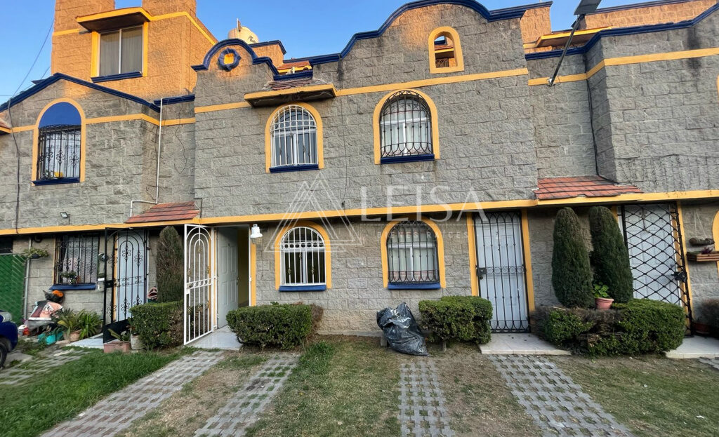 video image