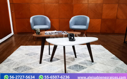 Oficinas en Polanco V Seccion CDMX – EN RENTA