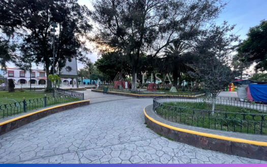 Local en Tenango del Aire EDO MEX – RENTADO