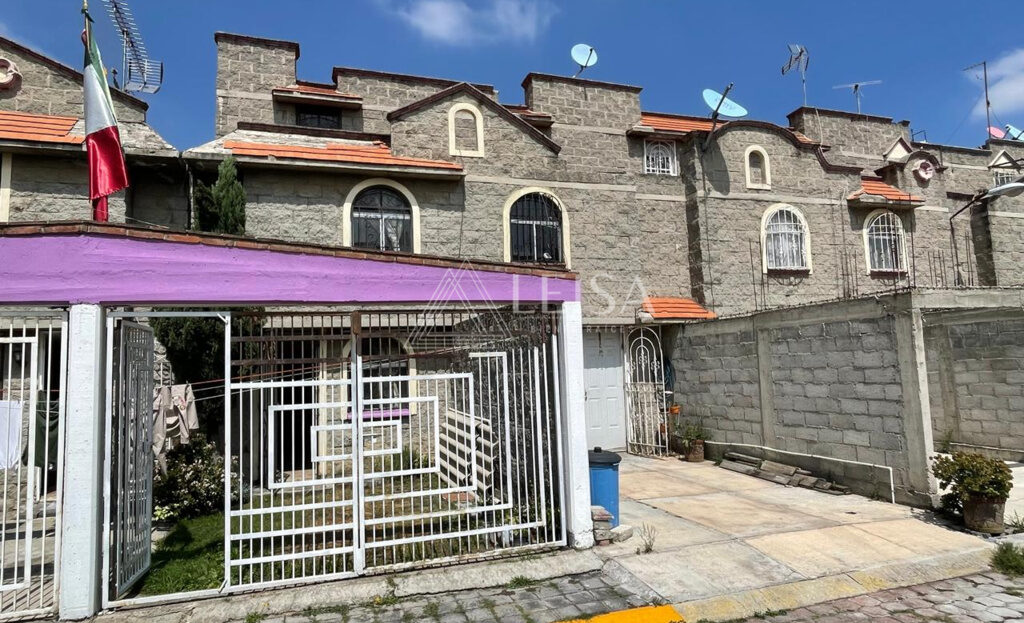 video image